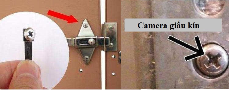 camera-giau-kin-oc-vit-nguy-trang